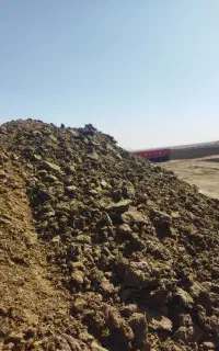 کود مرغی و گاوی