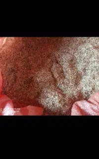 کاه نرمه و پرس