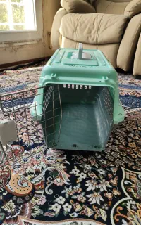 باکس گربه و سگ