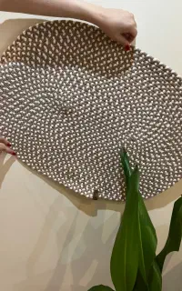 پادری نو طرح جدید بافت