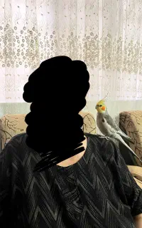 طوطی عروس گمشده
