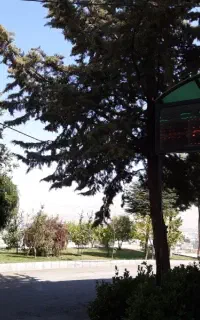 جذب مدرس  ودانشجوی زبان
