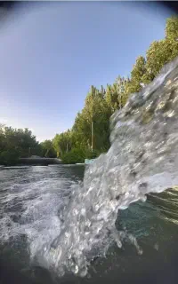 سبزیکاری حسن