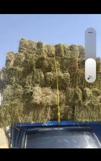 فروش یونجه و علف