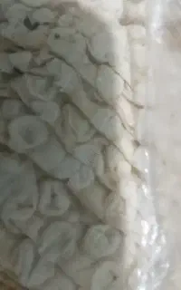 مواد غذایی تو را خدا