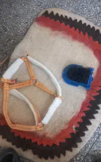 وسایل سوار کاری