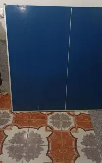 پینگ پنگ فروشی
