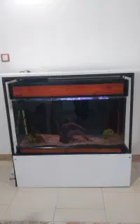 آکواریوم شرکتی