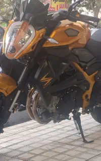 بلنتا z249 مدل 1403 خشک