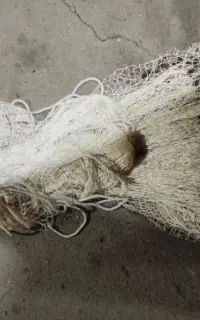 ماشک ماهیگیری