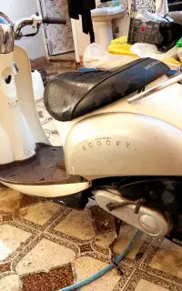 پاکشتی هندا