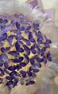 گل پروانه ای در رنگبندی و قیمت ها باور نکردنی