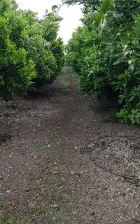 استخدام سرایدار