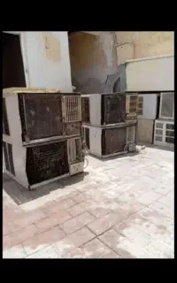 خریدار کولر سوخته سالم اوراقی