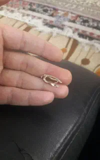 رب سکه غیر بانکی