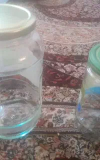 شیشه خالی ربی و خیارشوری