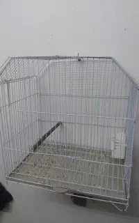 قفس