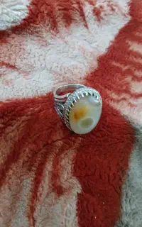 باباقوری سلیمانی.