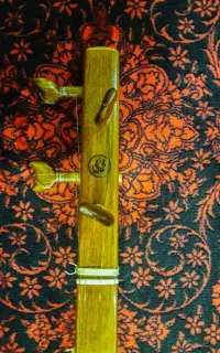 سه تار محمدی