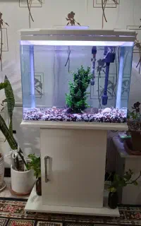 آکواریوم آکوا