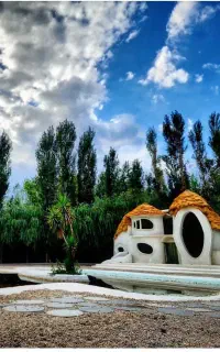 مجری مراسم عقد و تولدو تعیین جنسیت