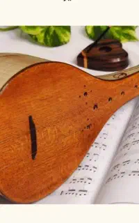 آموزش سه تار ویژه ی بانوان و نوجوانان