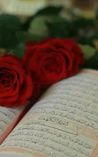 استخاره