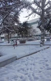 شاگرد مکانیکی نیمه ماهر