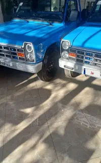 خرید فروش زامیاد صفر وکار کرده