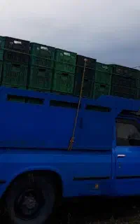 حمل ونقل بار کیوی و برنج با نیسان