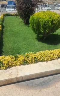 اجرای فضای سبز  هرس کاشت  طراحی