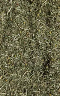 بابونه کوهی