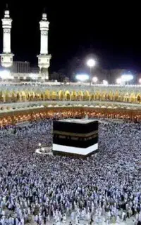 فروش فیش حج تمتع