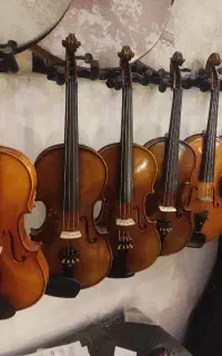 ویلن های اموزشی و حرفه ای