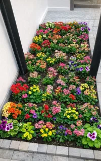 خدمات باغبانی گلکاری هرس کاری سمپاشی