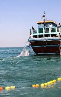 مجوز صید