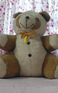 عروسک خرس بزرگ