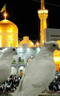 اعزام کاروان زیارتی مشهد   ۱۰ خرداد