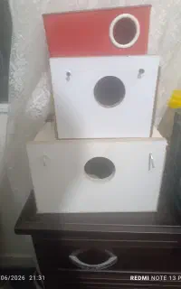لانه سه عدد
