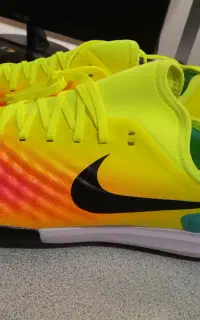 کتونی سالن مجیستا