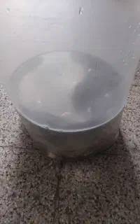 فروش