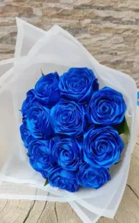 گلهاا ربانی