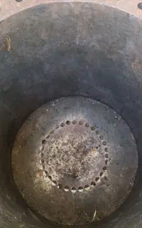 مرغ تخم گذار
