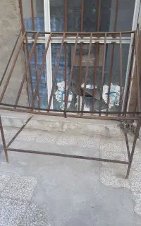 میز میوه