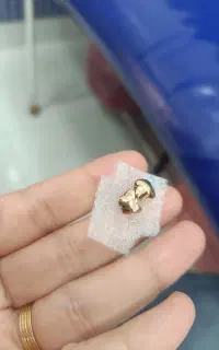 یک گرم و هفتصدو هفتاد سوت