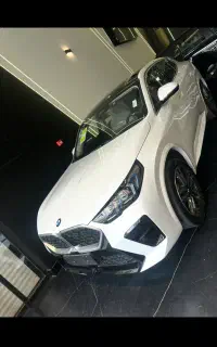 bmw x2 sdrive