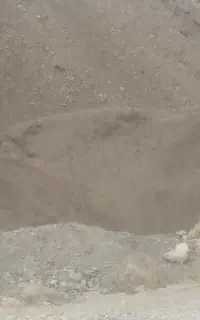 آگهی استخدام
