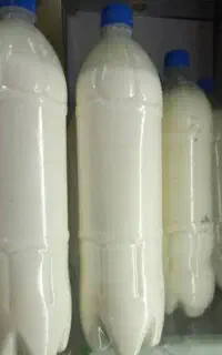 دوغ محلی پر چرب تازه گاو