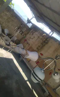 لوستر۸ شاخه و ۳شاخه