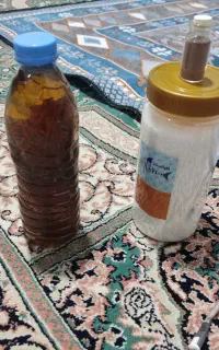 ارتمیا